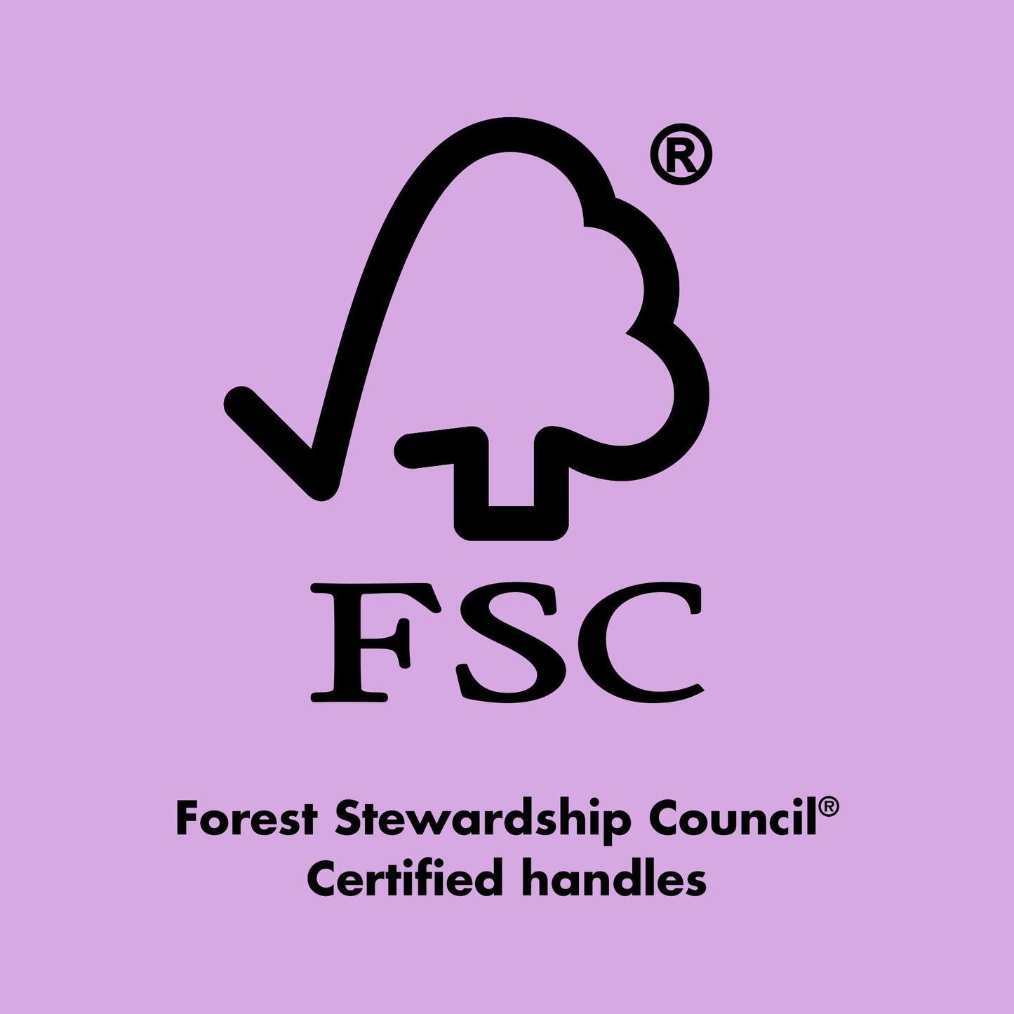 ten-out-of-ten-brush-kit-w4 0423_EDUCATION_FSC_EVERGREEN.jpg