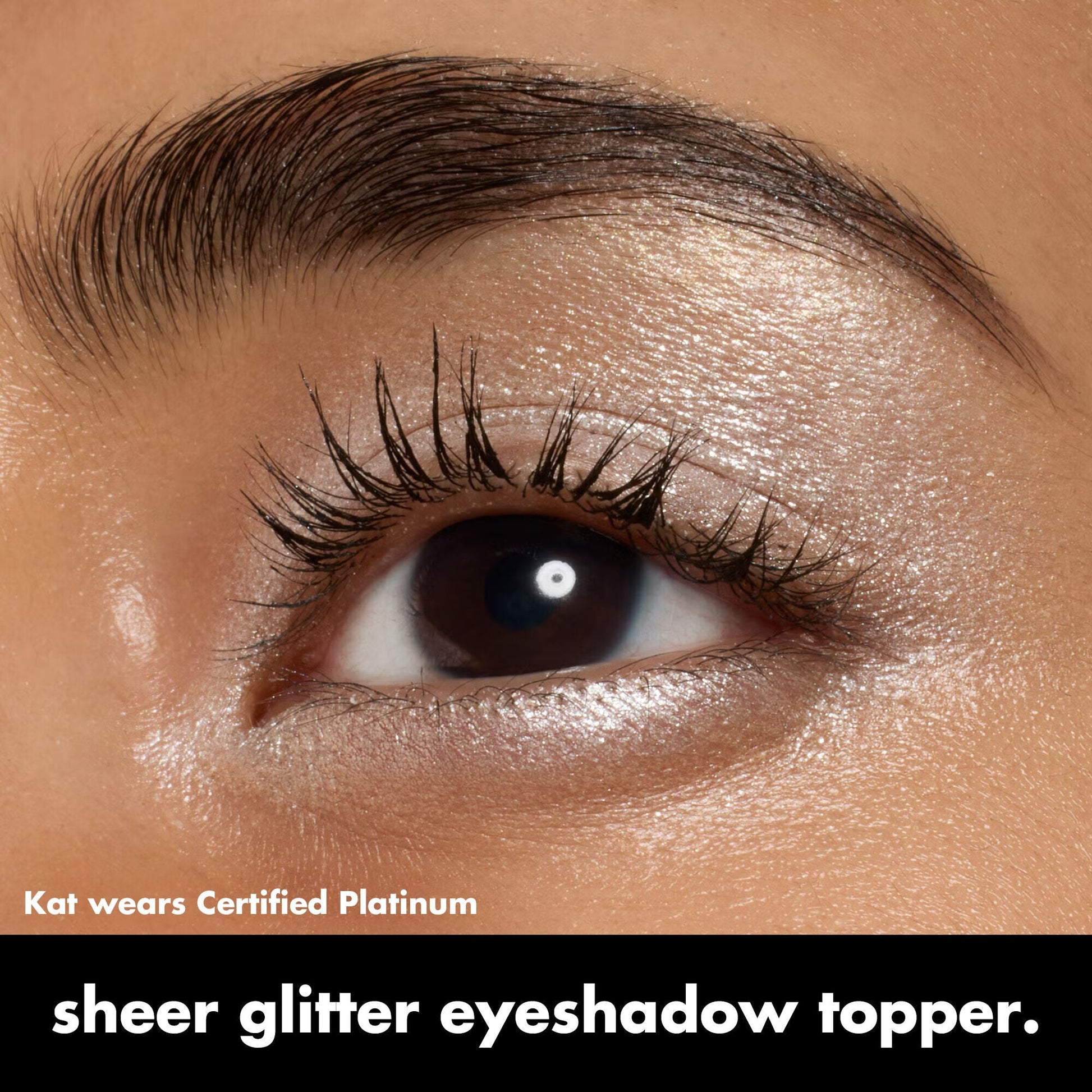 fine-as-fleck-glitter-eyeshadow-x4 0424_EDUCATION_FINEASFLECK_EYESHADOW_OnModel_certifiedplatinum_Kat.jpg