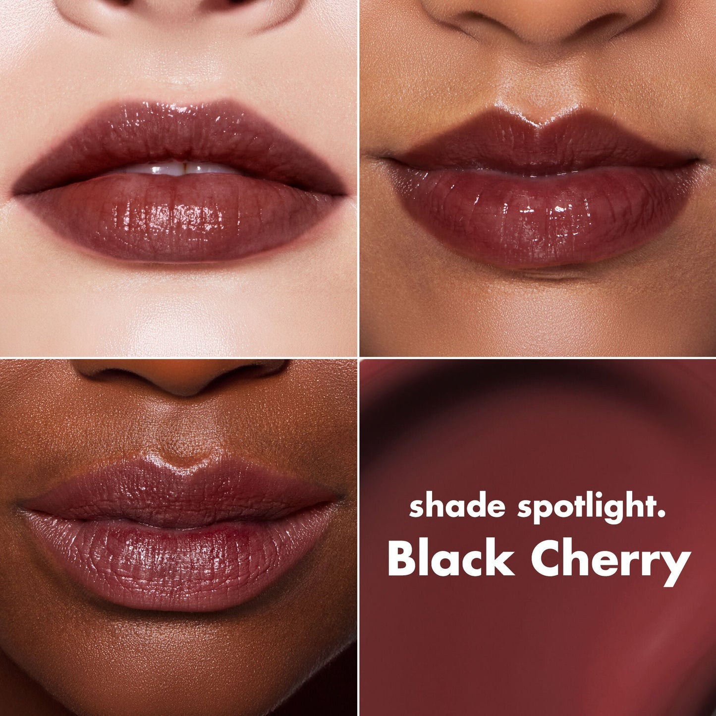 lip-lacquer-b7 0426_EDU_LipLaquer_ShadeChart_BlackCherry.jpg