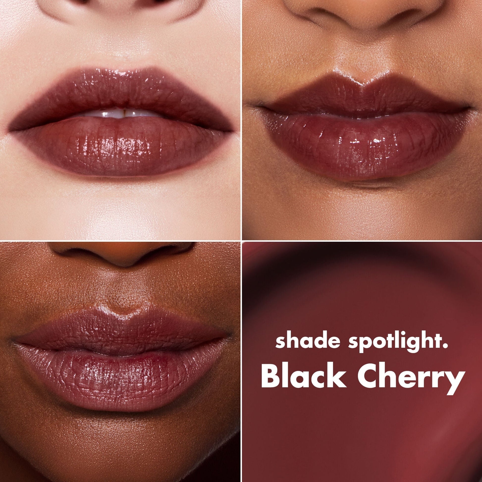 lip-lacquer-b7 0426_EDU_LipLaquer_ShadeChart_BlackCherry.jpg