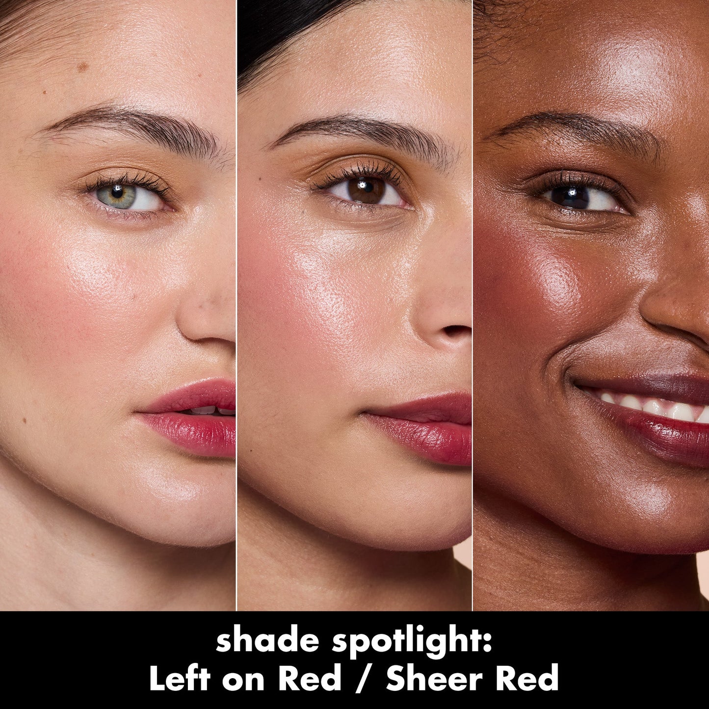 sheer-for-it-blush-tint-c8 0526_SEO_SheerForIt_ShadeSpotlight_LeftOnRed.jpg