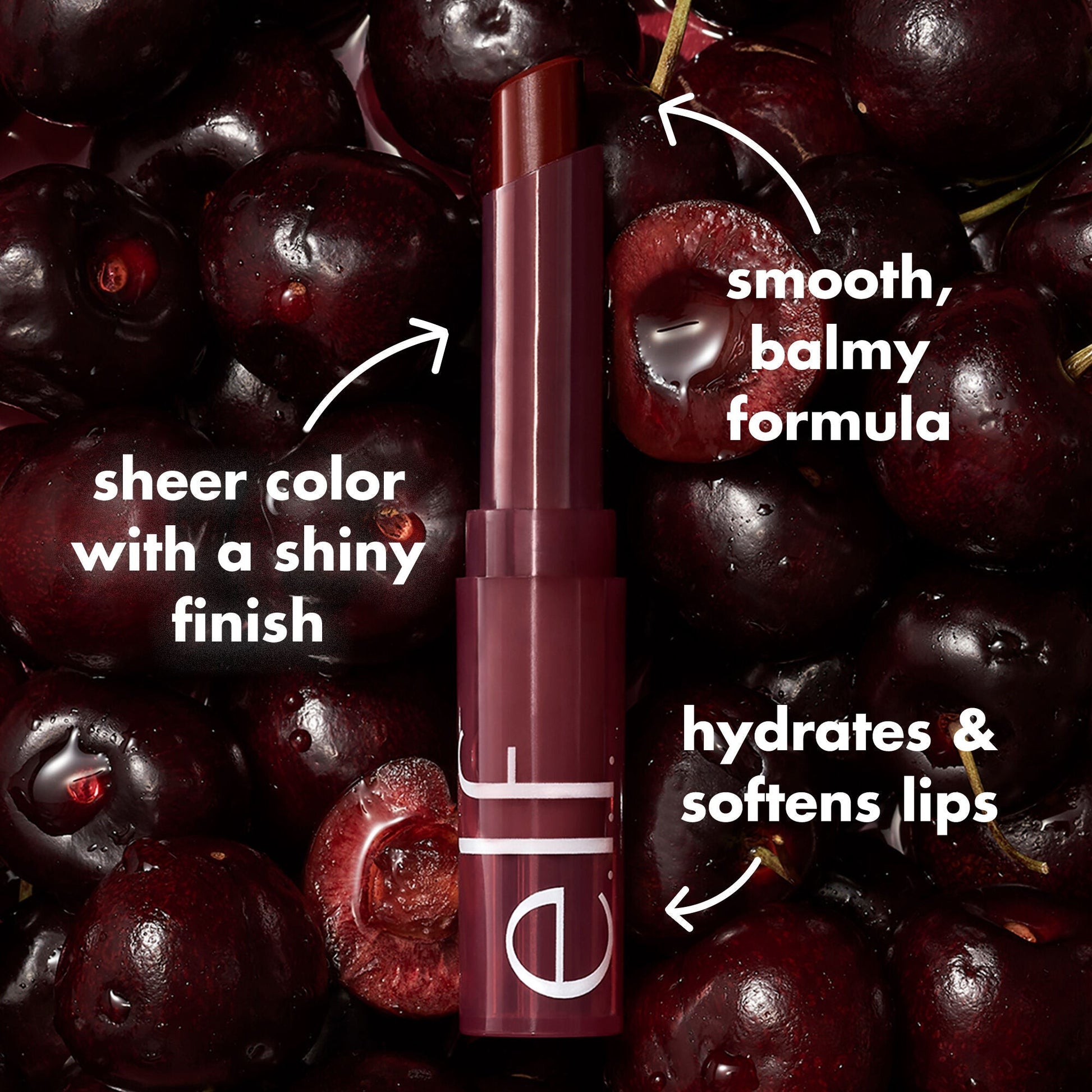 sheer-slick-lipstick-black-cherry-black-cherry-a7 0723_EDU_PDP_SHEERSLICK_BLACKCHERRY_PRODUCTINFO.jpg