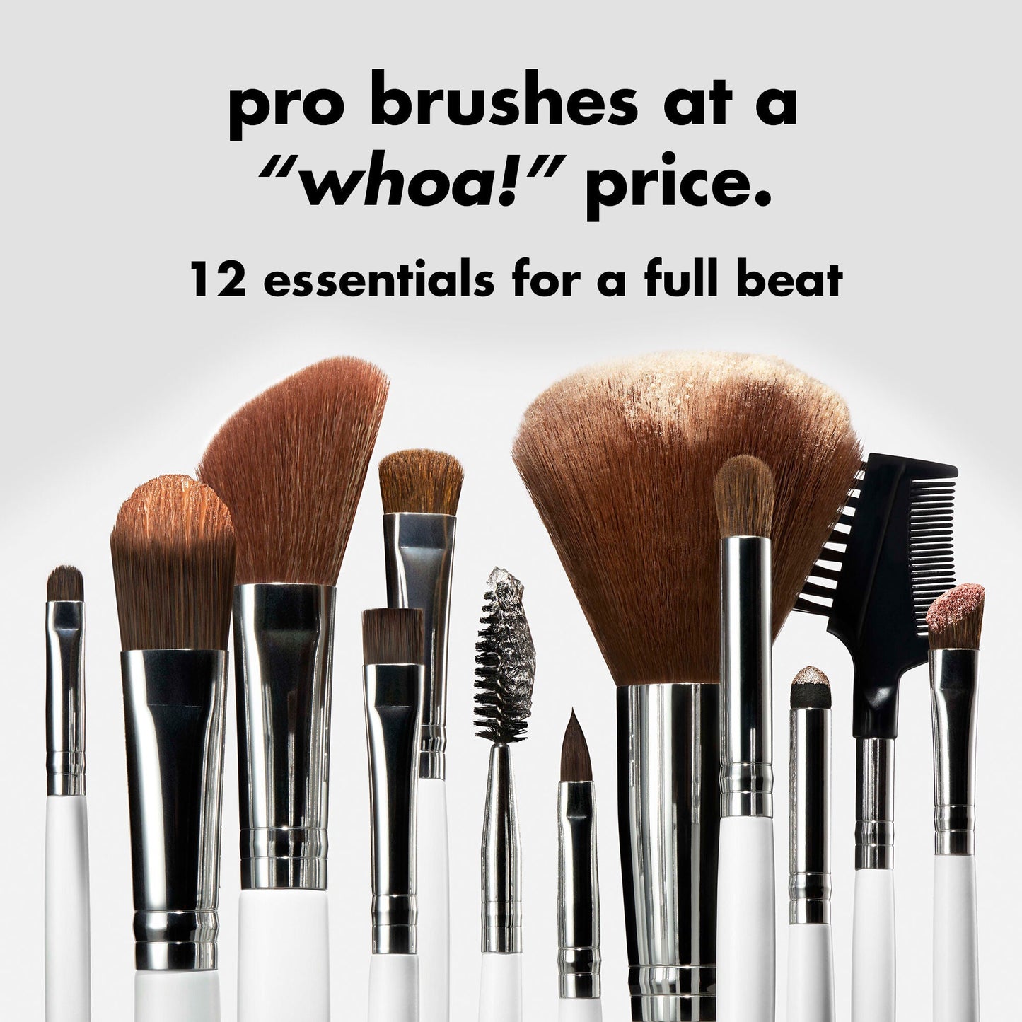 professional-set-of-12-makeup-brushes-d9 0823_PDP_BRUSHES_12-PIECE_SET_PRODUCT.jpg