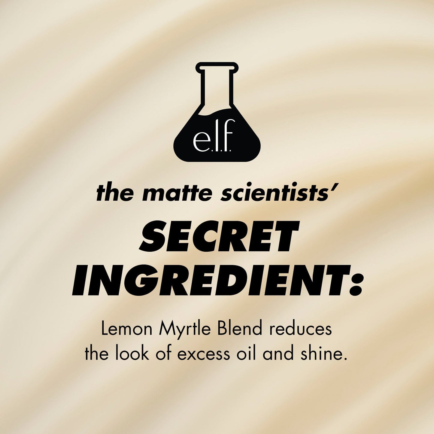 power-grip-matte-primer-c0 1224_EDUCATION_PGMATTE_INGREDIENT_b9de063f-aeb5-403f-9709-c3cafbf9c9d1.jpg