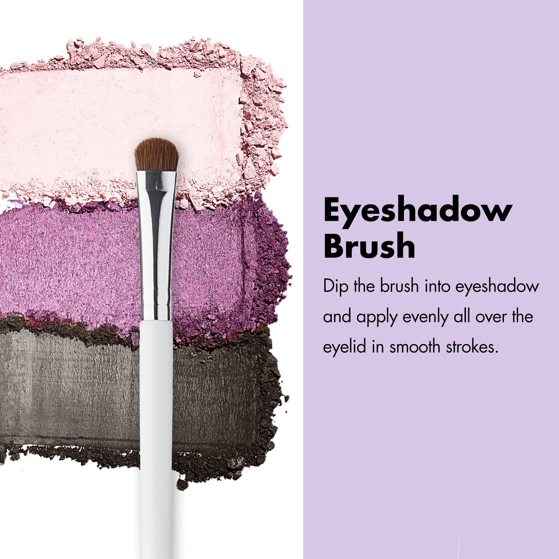 professional-set-of-12-makeup-brushes-d9 ProfessionalBrushes_Eye_EyeshadowBrush_PDP_Edu_2000x2000_2418e3b8-bb65-4e6d-af53-e6d0aab002ae.jpg